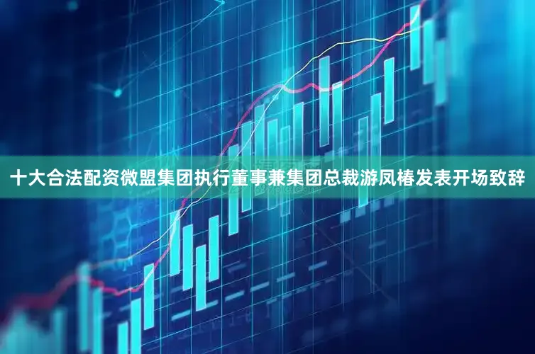 十大合法配资微盟集团执行董事兼集团总裁游凤椿发表开场致辞