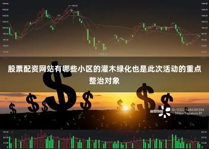 股票配资网站有哪些小区的灌木绿化也是此次活动的重点整治对象