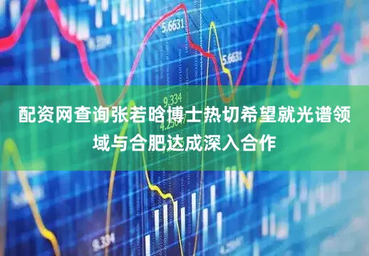 配资网查询张若晗博士热切希望就光谱领域与合肥达成深入合作